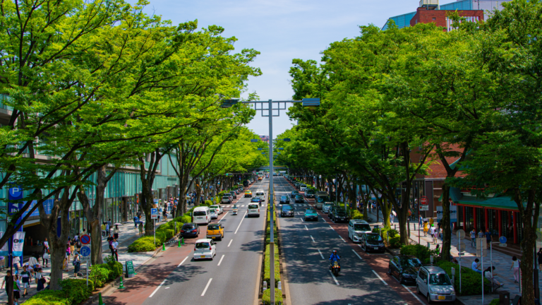 Omotesando Avenue